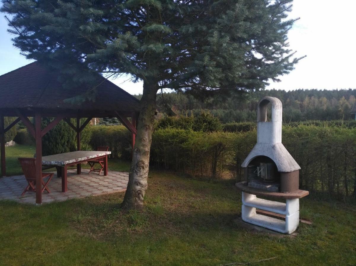 Villa Danuta- Wiselka, Direct At National Park, Big Garden, 4 Bedrooms, Private Sauna Экстерьер фото